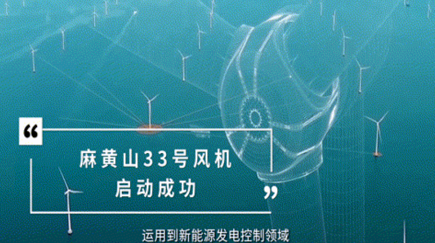 公告正文图片